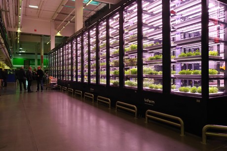 indoor farm in Paris